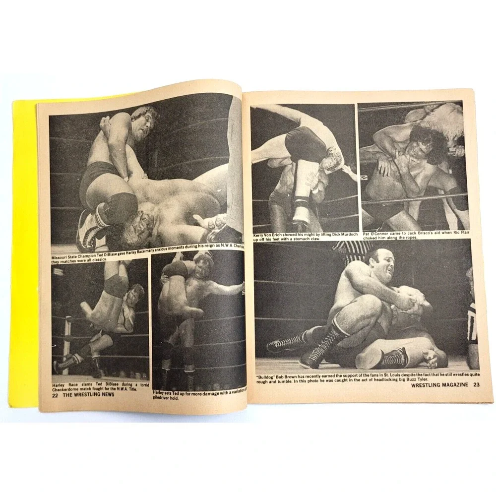 WRESTLING NEWS WRESTLING - NOV 1981 -WAHOO MACDANIEL / CANDI‎ DIVINE / BRISCOES